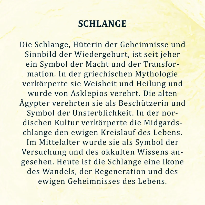 Kette aus Taguanuss-Anhänger (Braun)