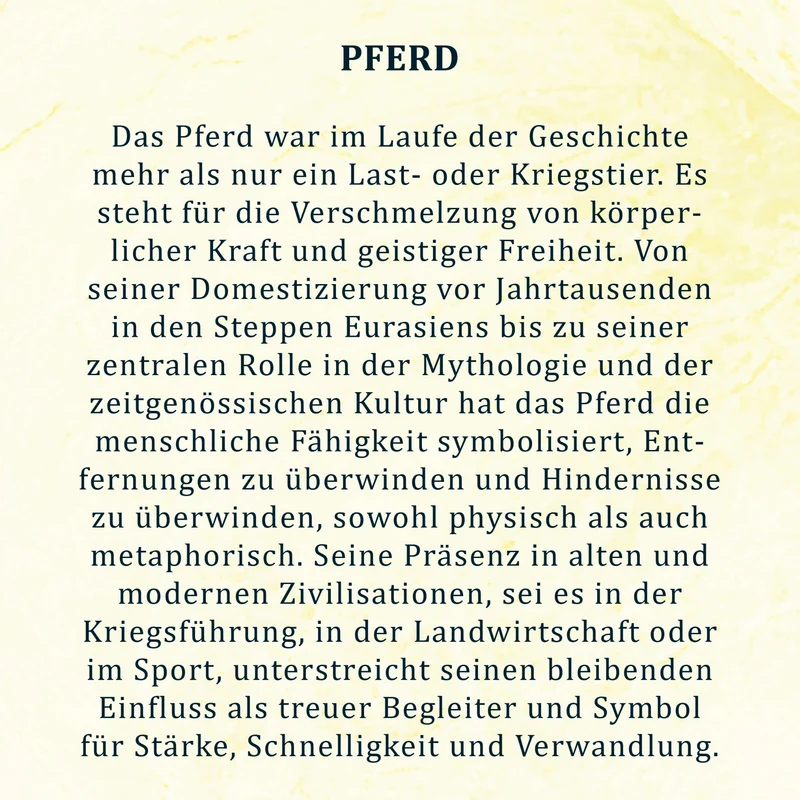 SCHWARZE Kette aus Taguanuss