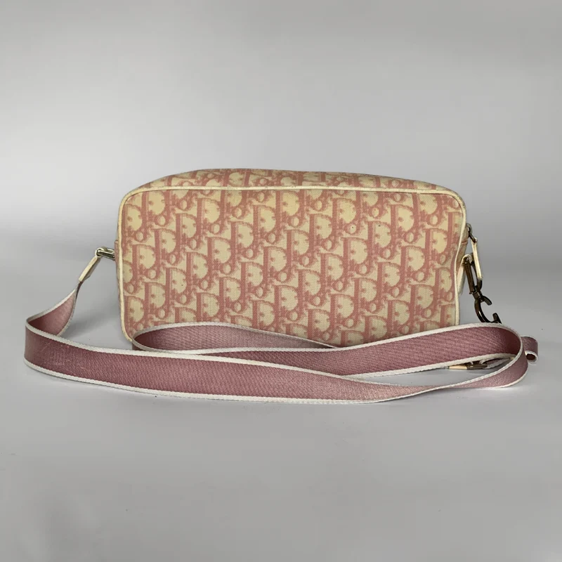 Dior Messenger Oblique Canvas