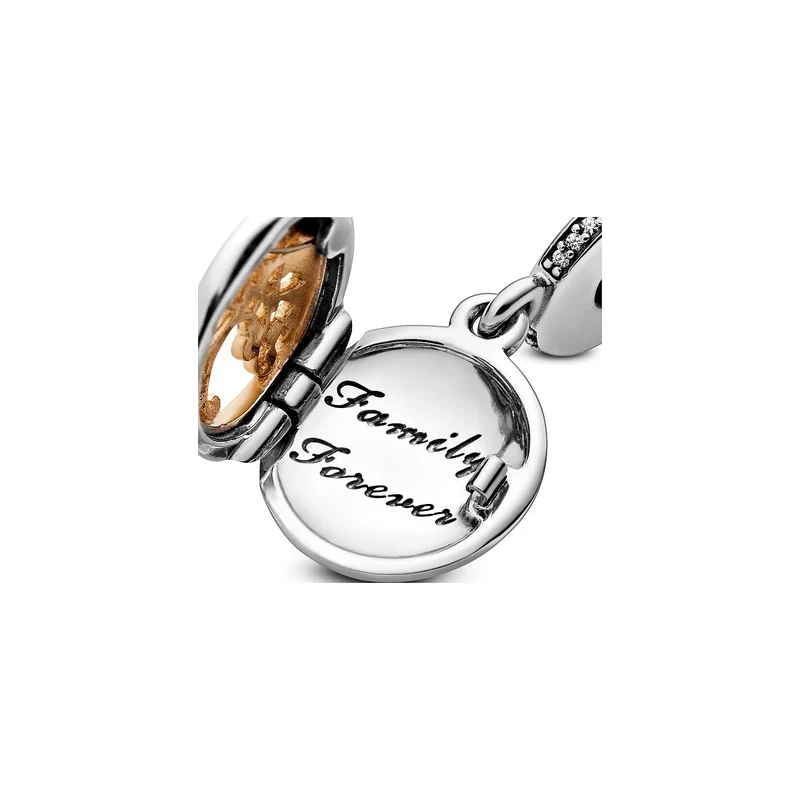 Pandora Charm Damen Family Roots Bicolor 791988CZ