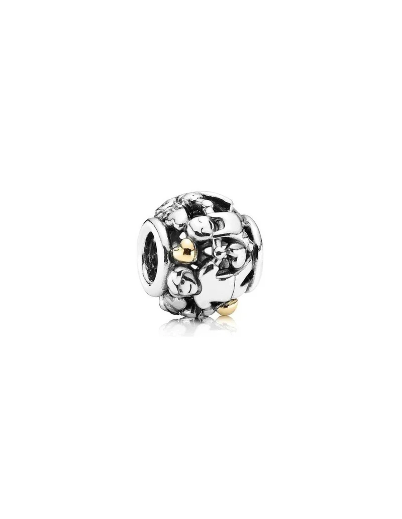 Pandora Charm Damen Familie Silber 791040