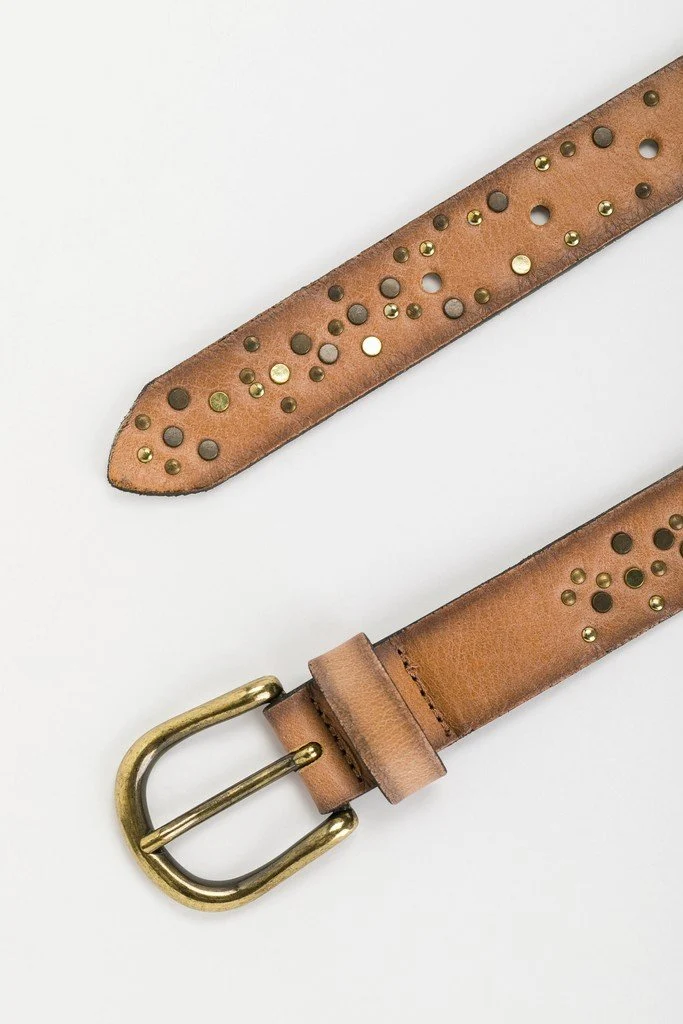 Vanzetti uni