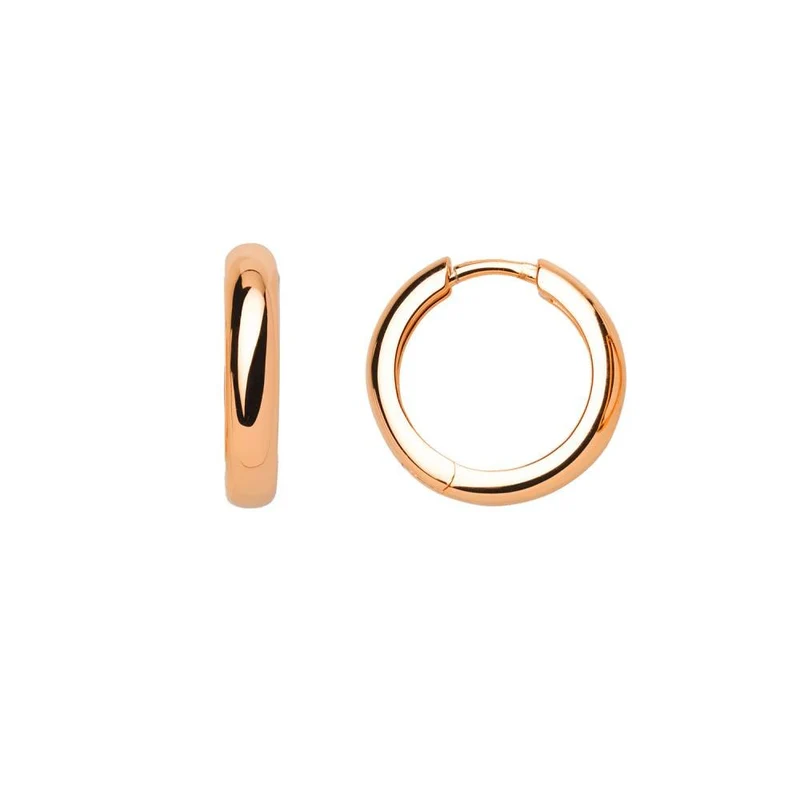 Xenox Damen Creolen Classic XS8661