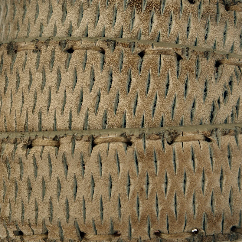 Reptiles House Kalbsledergürtel Bee in Khaki 2,5 cm