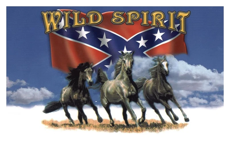 Flagge Fahne Sturmflagge Wild Spirit Horses 90 x 150 cm mit Messingösen