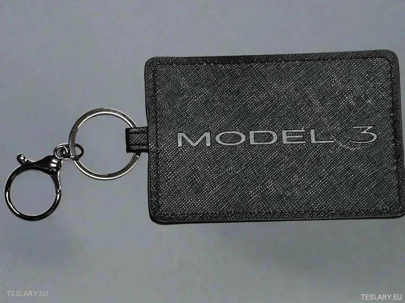 Moderne Schlüsselhülle mit Tesla-Logo Model 3-Logo